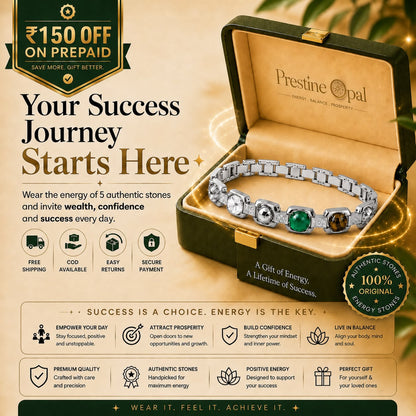 Rinmukteshwar Siddh Metal Dhan Yog™ Bracelet (Silver Plated): Lab Certified, Customised & Energized Bracelet for Men & Women